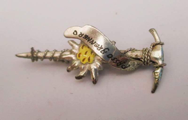 VINTAGE Austrian Metal Enamel Alpine Souvenir Hat Pin ~Passo Grenner ~ Floral ~ Ice pic, rope 45mm