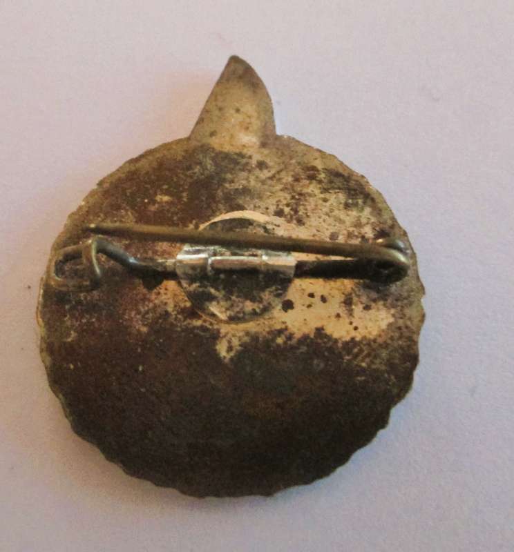 Vintage Ski Schule Wildschonau Pin Badge