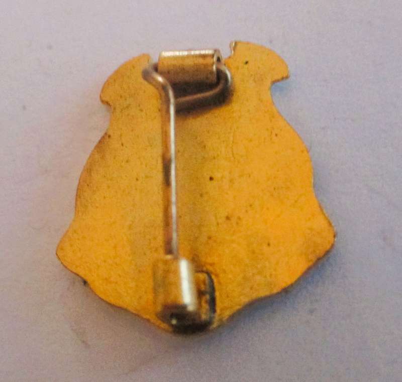 Vintage Brisbane QLD Coat of Arms enamel souvenir badge