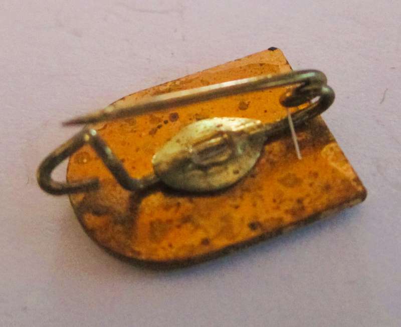 VintageEnamel Badge Austria Ski School Kitzbuhel
