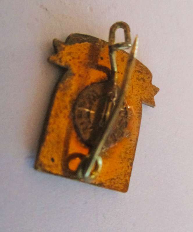 Vintage Ski Pin - Alpbach Austria Tirol Enamel Badge