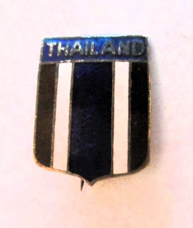 RARE Vietnam War Thailand Advisory Group DUI DI Crest pin
