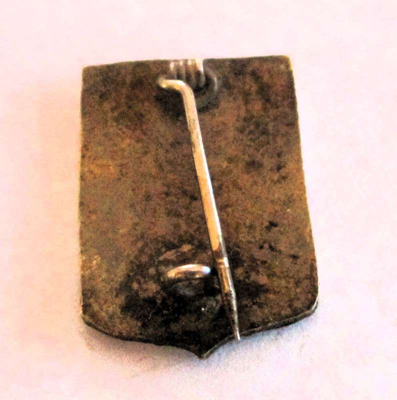 RARE Vietnam War Thailand Advisory Group DUI DI Crest pin