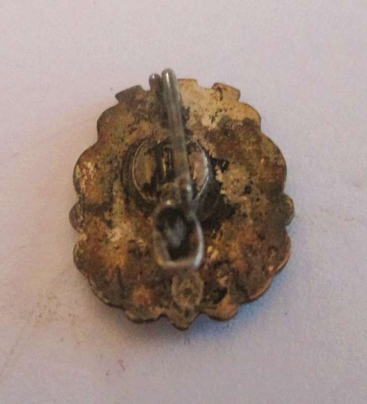 Vintage Souvenir  Collectible Wurzburg Germany badge