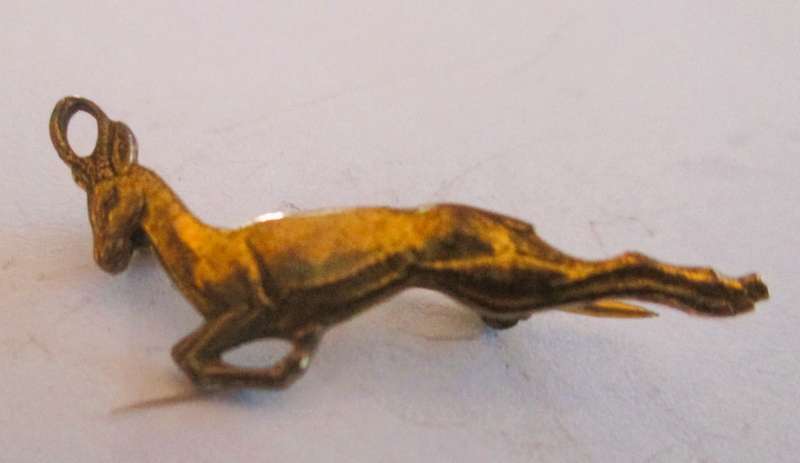Vintage Souvenir Springbok Badge. Unique