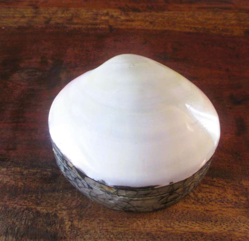 Clam Handcrafted White Capiz Seashell Abalone Mosaic Jewelry Box 90x50mm