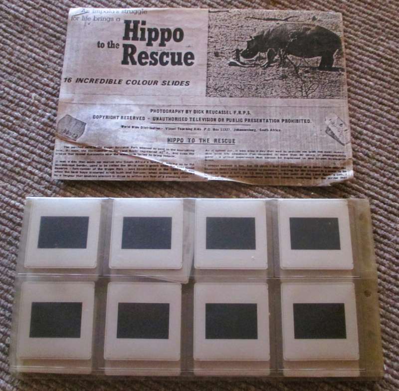 Hippo to the Rescue, 16 x 35 mm slides