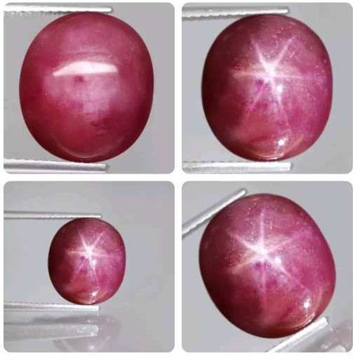 11.98Ct. Ruby Star 6 Rays Pinkish Red Oval Cabochon Mozambique Amazing!Natural