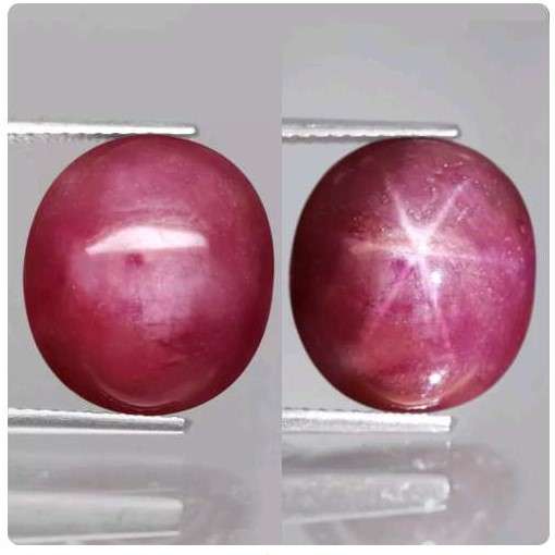 11.98Ct. Ruby Star 6 Rays Pinkish Red Oval Cabochon Mozambique Amazing!Natural