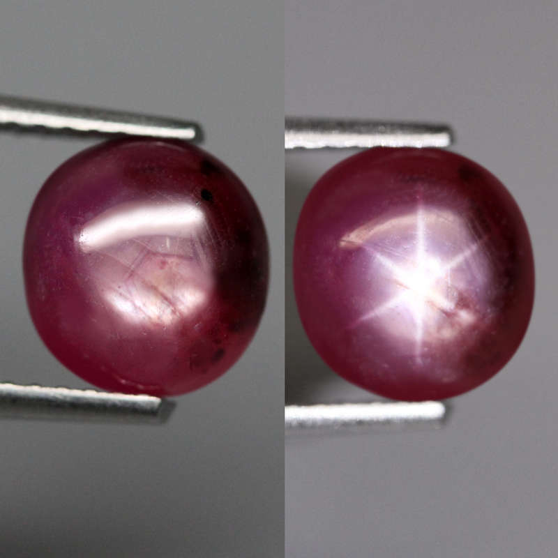 2.59Ct. Star 6 Ray Ruby Top Pink Round Cabochon Mozambique Amazing Heated Natural