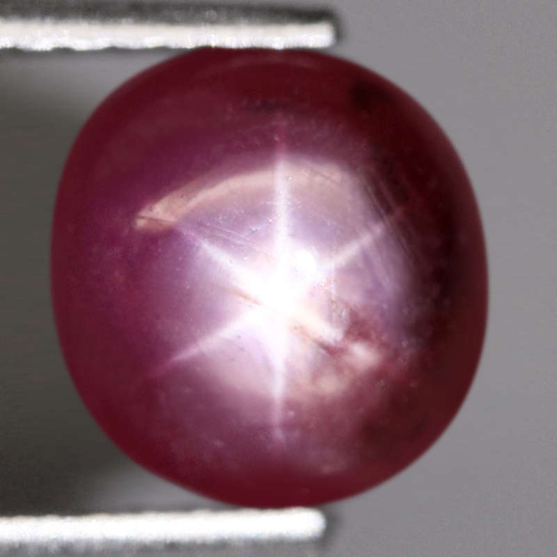2.59Ct. Star 6 Ray Ruby Top Pink Round Cabochon Mozambique Amazing Heated Natural