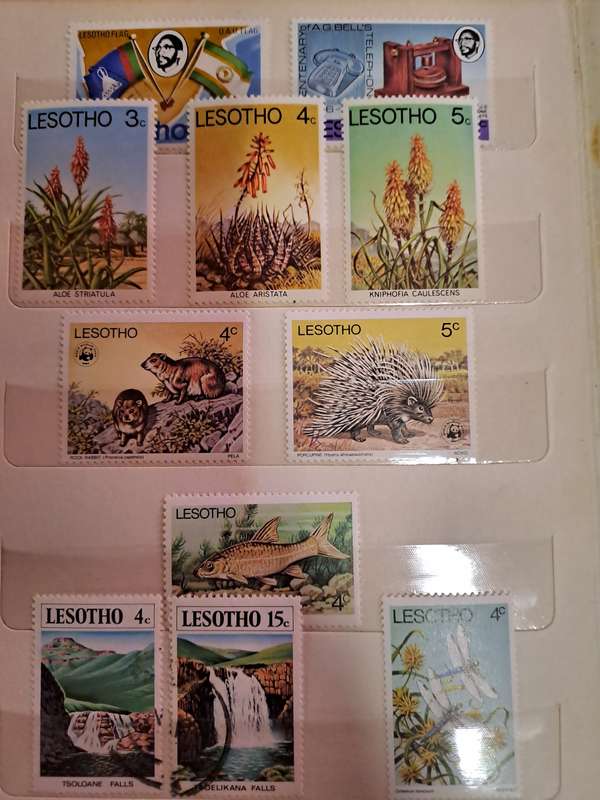 BCW - Lesotho & Other