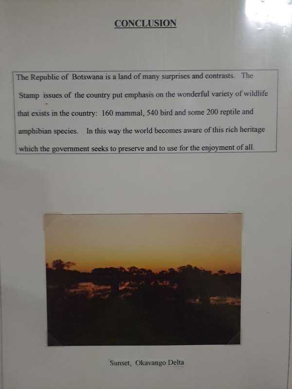 Botswana Collection - Reduced price