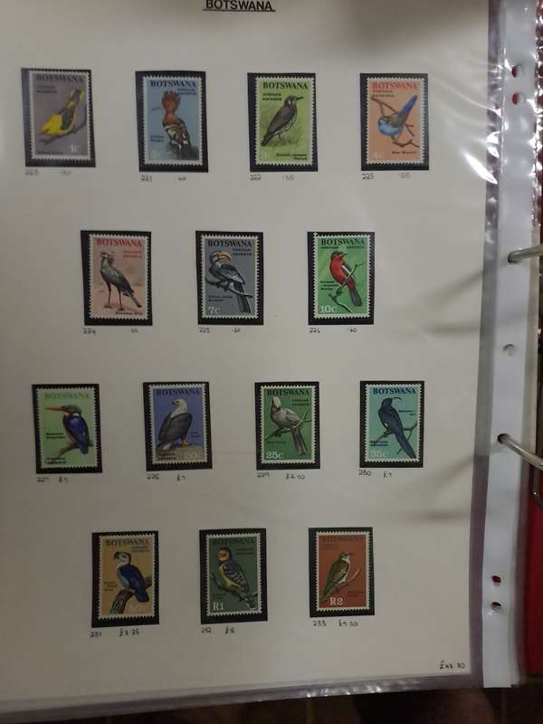 Botswana Collection - Reduced price