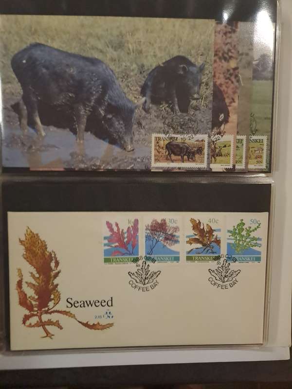 Transkei - FDC