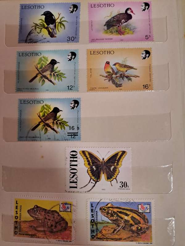BCW - Lesotho & Other