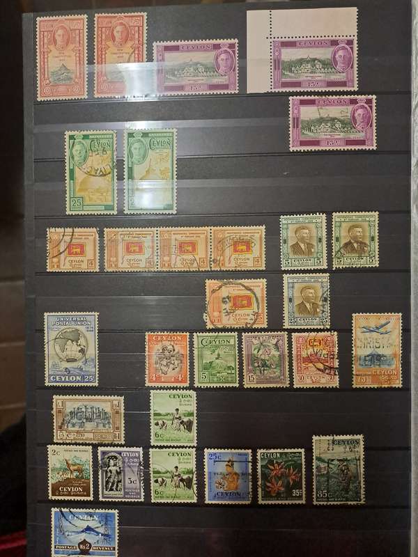 Ceylon Collection