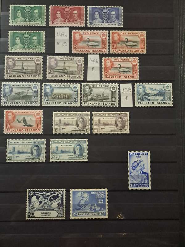 Falkland Islands - 86 Stamps - Reduced price