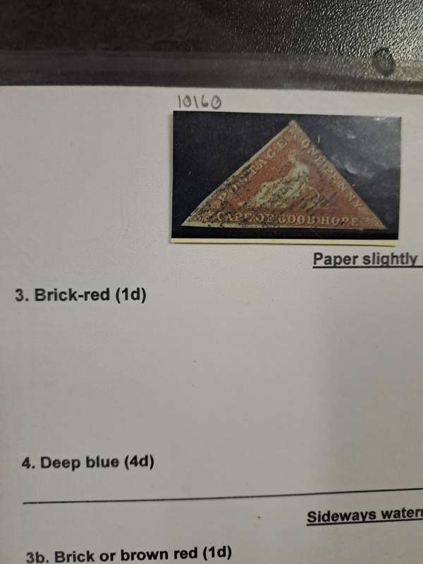 COG - 3. Brick red - Reduced price