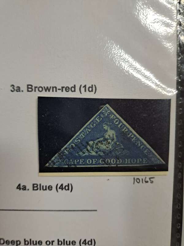 COG - 4a Blue - Reduced price