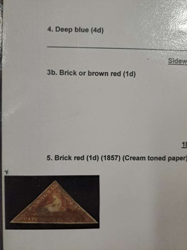 COG - 5 Brick red - mint - Reduced price