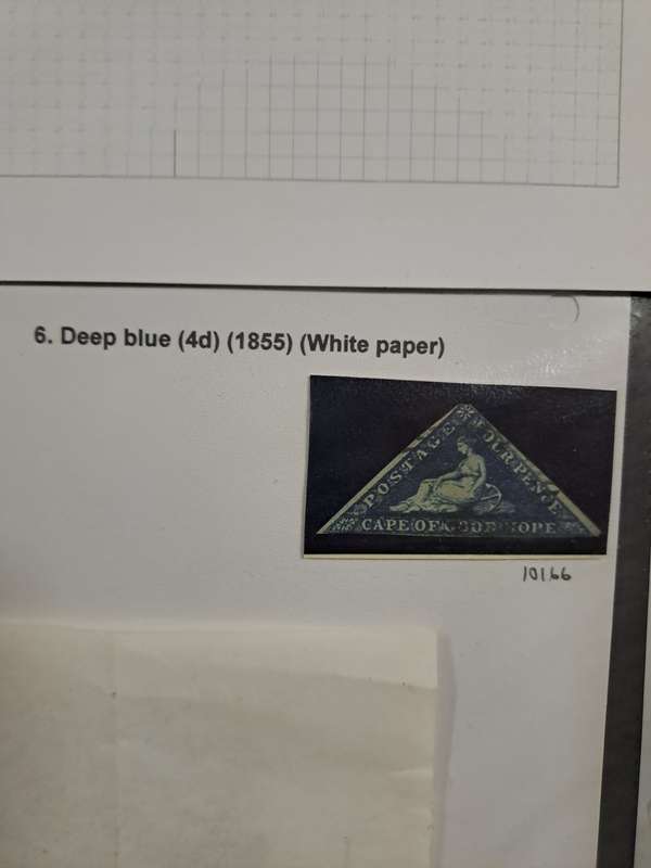 COG - 6 Deep blue - Reduced price