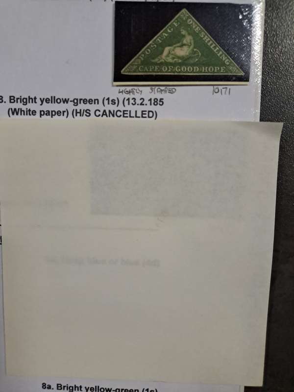 COG No 8 Bright Yellow green - Final Reduced price