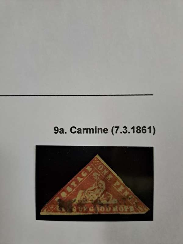 COG No 9 Carmine - Reduced price