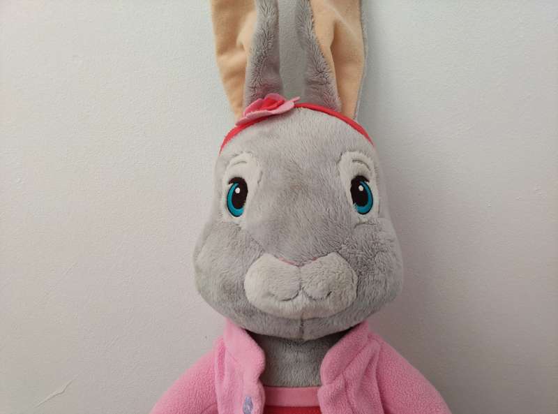 Lily Bobtail  /  Peter Rabbits girlfriend