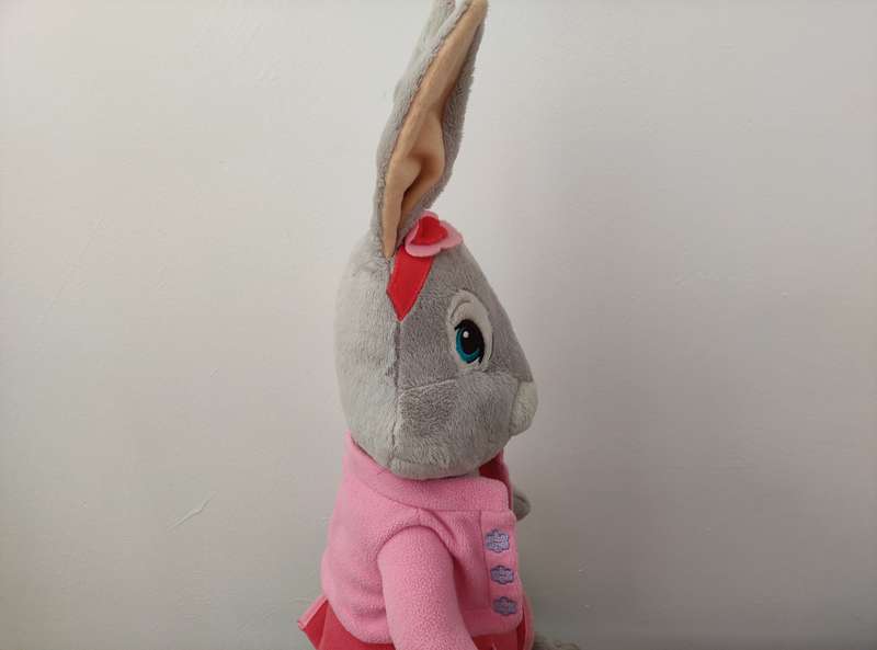 Lily Bobtail  /  Peter Rabbits girlfriend