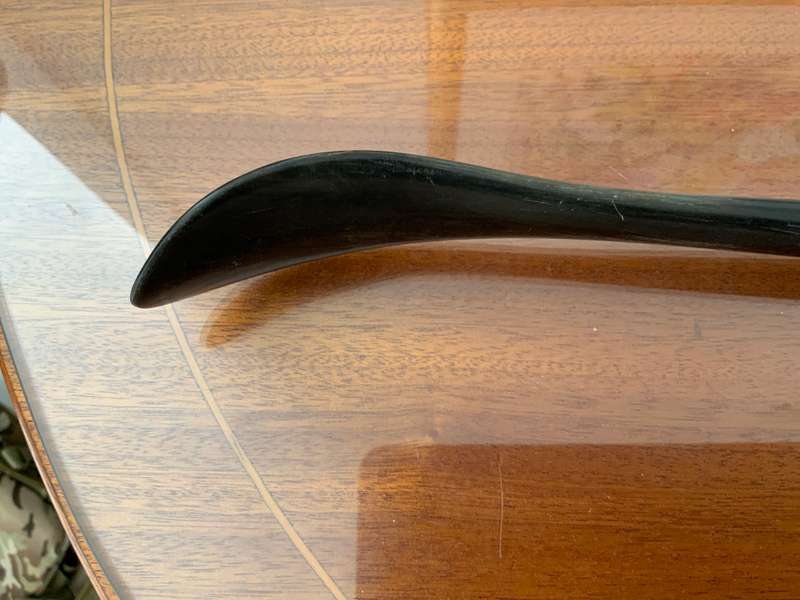 Shoe /boot horn