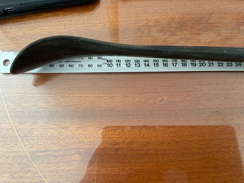 Shoe /boot horn