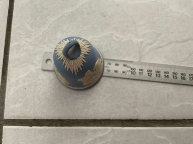Wedgwood blue bell seals ware