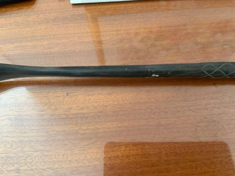 Shoe /boot horn
