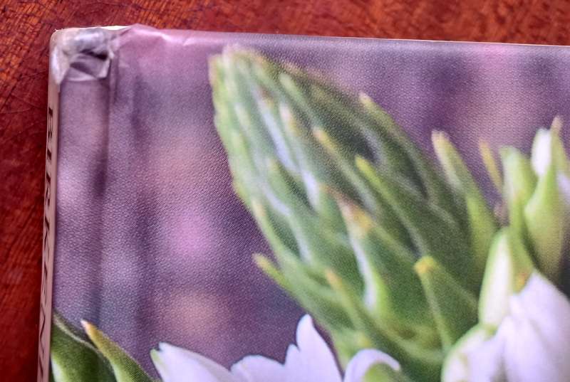 Birkenhead Blooms: The Floral Art of Alyson Kessel