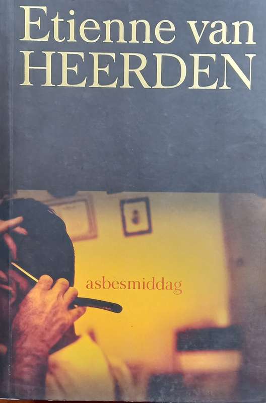 Etienne van Heerden, Asbesmiddag