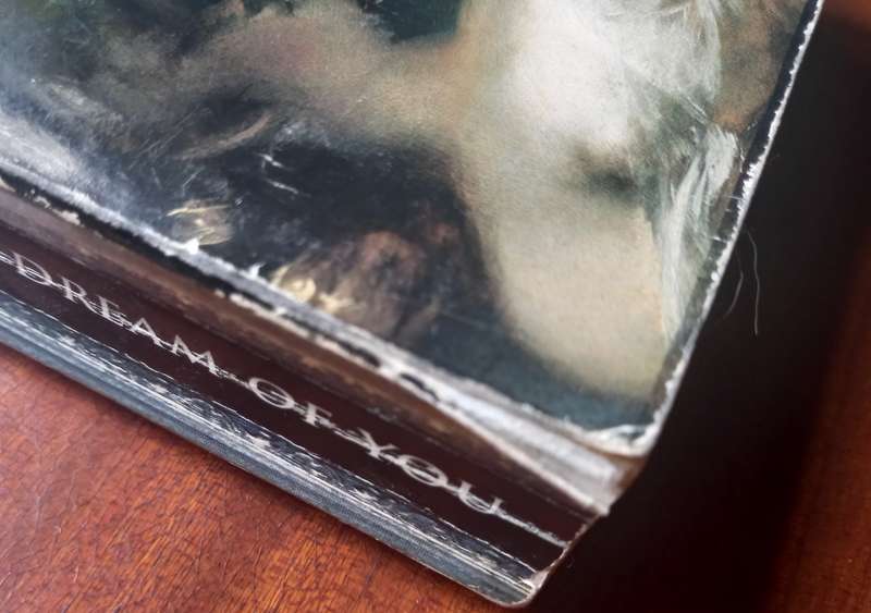 Nuala O'Faolain, My Dream of You