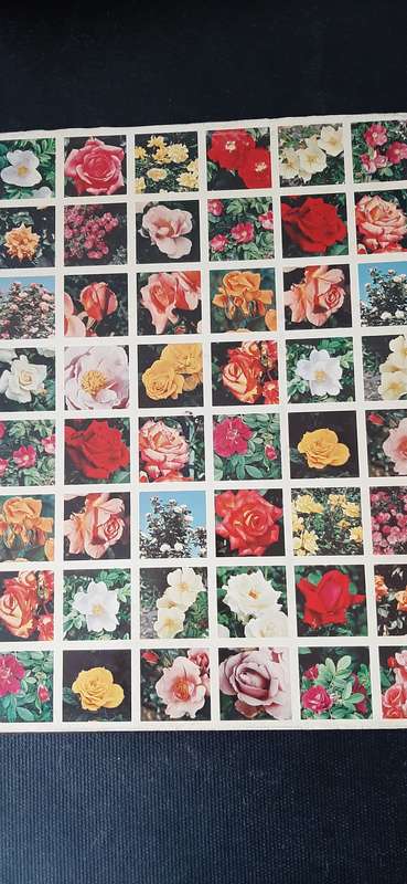 The Dictionary of Roses in colour by S. Millar Gault & Patrick M. Synge