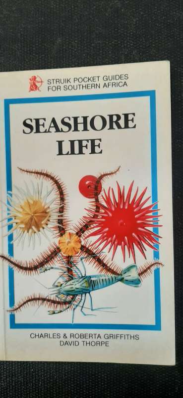 Seashore Life by Charles & roberta Griffiths and David Thorpe