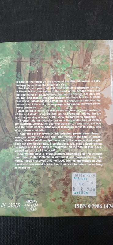 The Misty Mountain by Pieter Pieterse (First Edition, 2nd impression)