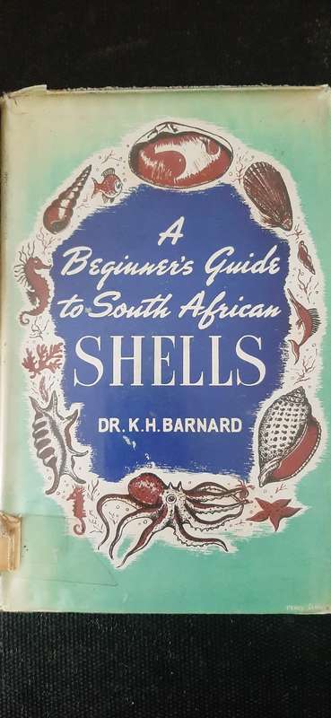 A Beginner's Guide to South African Shells by Dr. K.H. Barnard