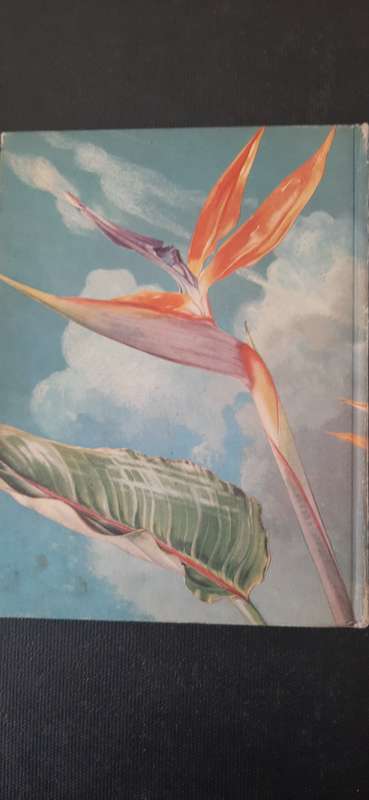 Wild Flowers of the Eastern Cape Province by A. Batten and H. Bokelmann
