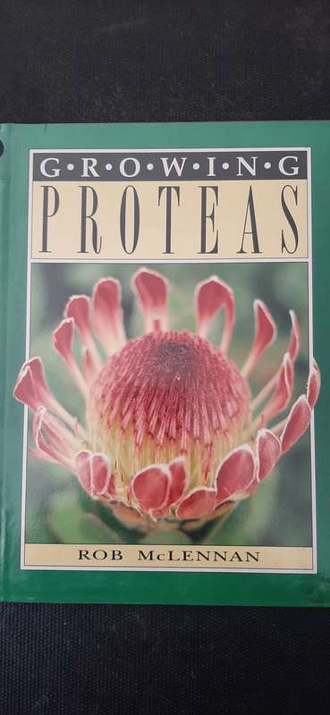 Growing Proteas by Rob McLennan