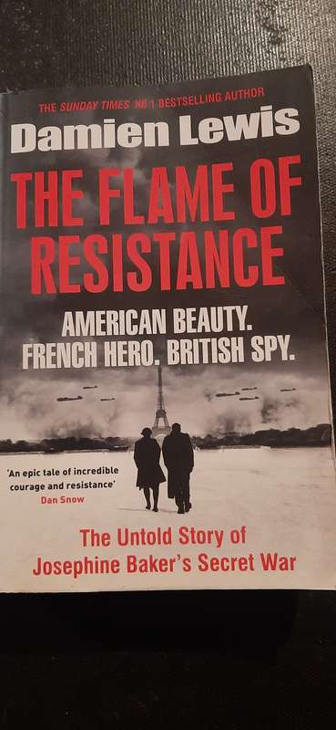 The Flame of resistance by Damien Lewis