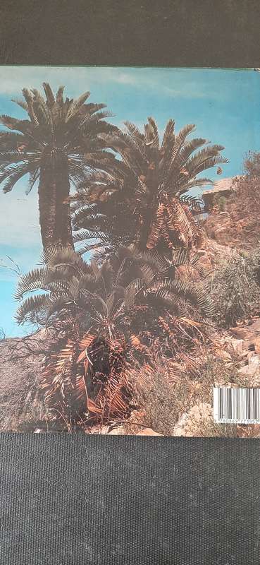 Cycads of South Africa by Cynthia Giddy