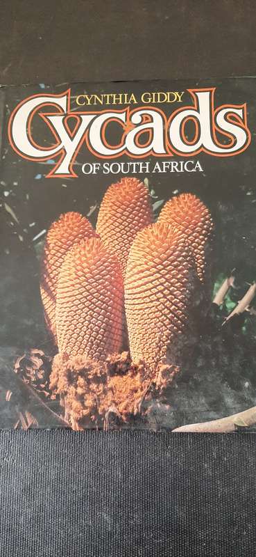 Cycads of South Africa by Cynthia Giddy