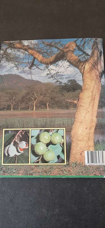 Everyone's guide to Trees of South Africa by Keith, Paul & Meg Coates Palgrave