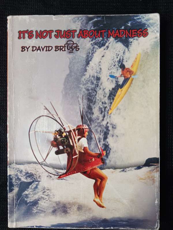 It's not just about madness by David Briggs