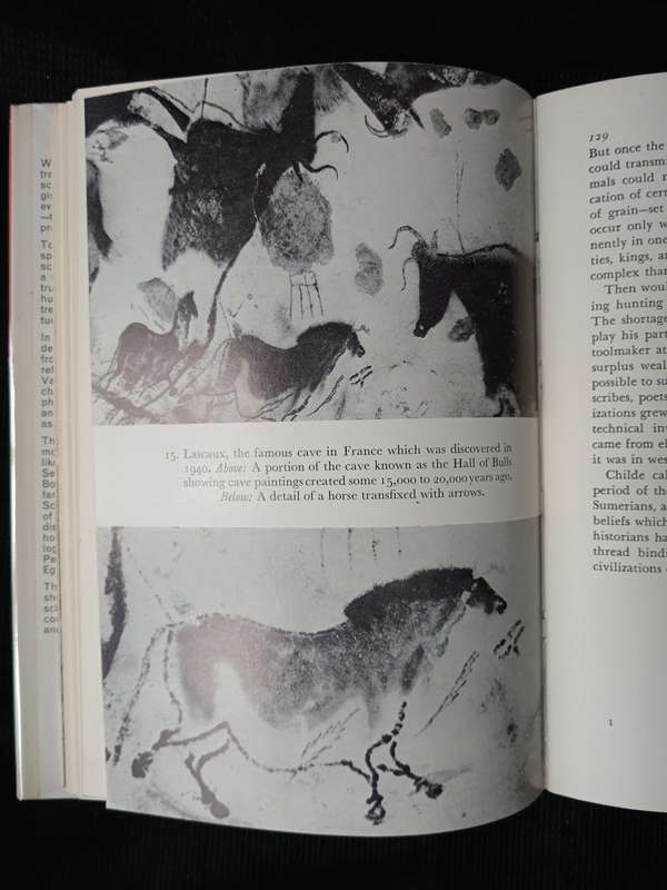 Digs and Diggers by Leonard Cottrell