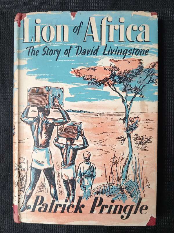 Lion of Africa by Patrick Pringle